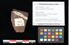 Foto (Objekt + Etikett) von Quercus palaeoilex Ettingshausen (NHMW-GEO-2024-0188-0878)